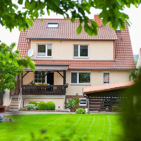 Ferienhaus Og1 "Westerwald Blick" Martinfeld Exterior photo