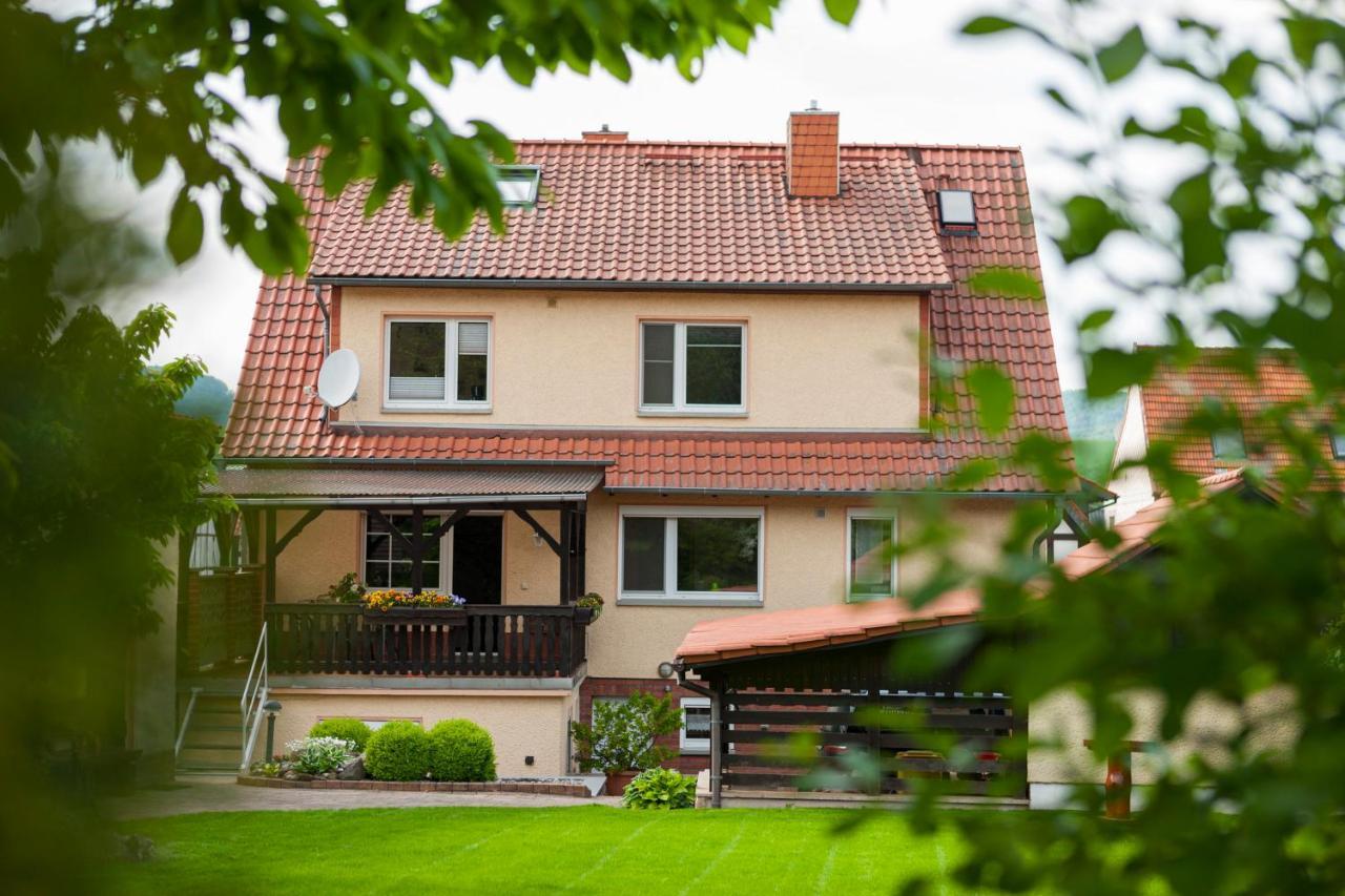 Ferienhaus Og1 "Westerwald Blick" Martinfeld Exterior photo